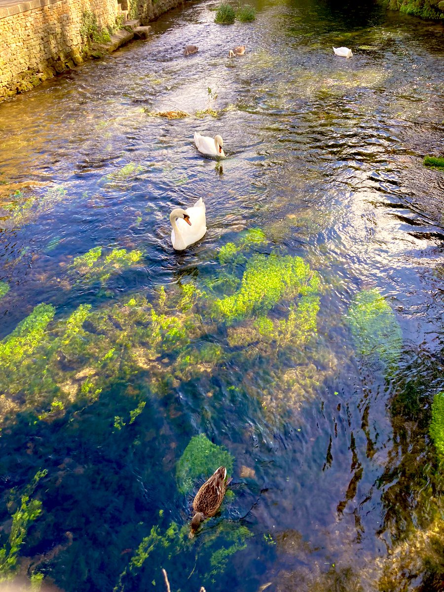 MYNAMEISnooon's tweet photo. おとぎの国　#Cotswolds https://t.co/ZM5Z8xsabP