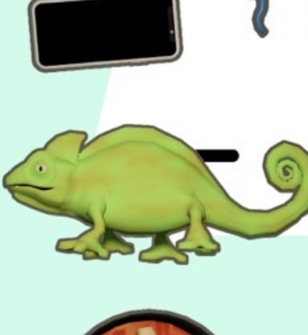 10/2? リリース
今日はカメレオンちゃん