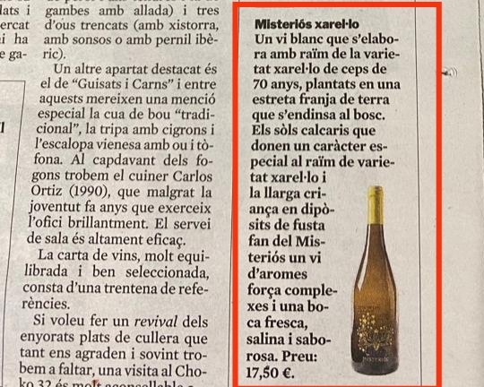 Blanca Ozcáriz Raventós tweet media