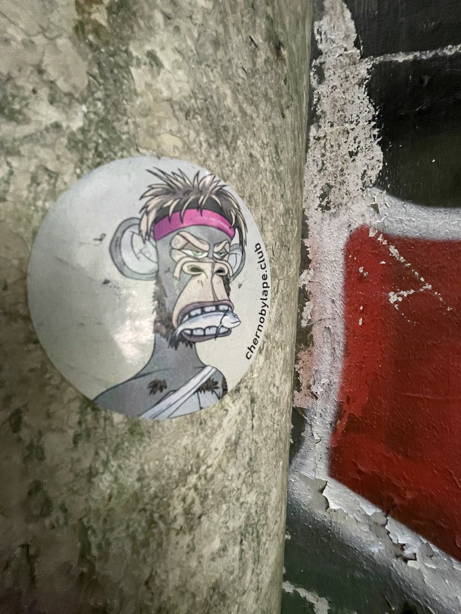 ChernobylApe's tweet photo. For the culture 🤙
#cac https://t.co/PKXh8o6OOn