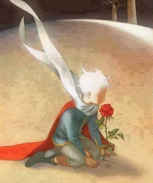 -“Te amo” - dijo el principito… -“Yo también te quiero” - dijo la rosa. -“No es lo mismo” - respondió él… 'Querer es tomar posesión de algo, de alguien. Es buscar en los demás eso que llena las espectativas personales de afecto, de compañía… Querer es hacer nuestro lo que no…