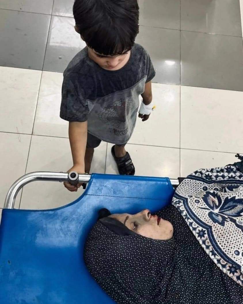 LambaAlka's tweet image. 😢 ???