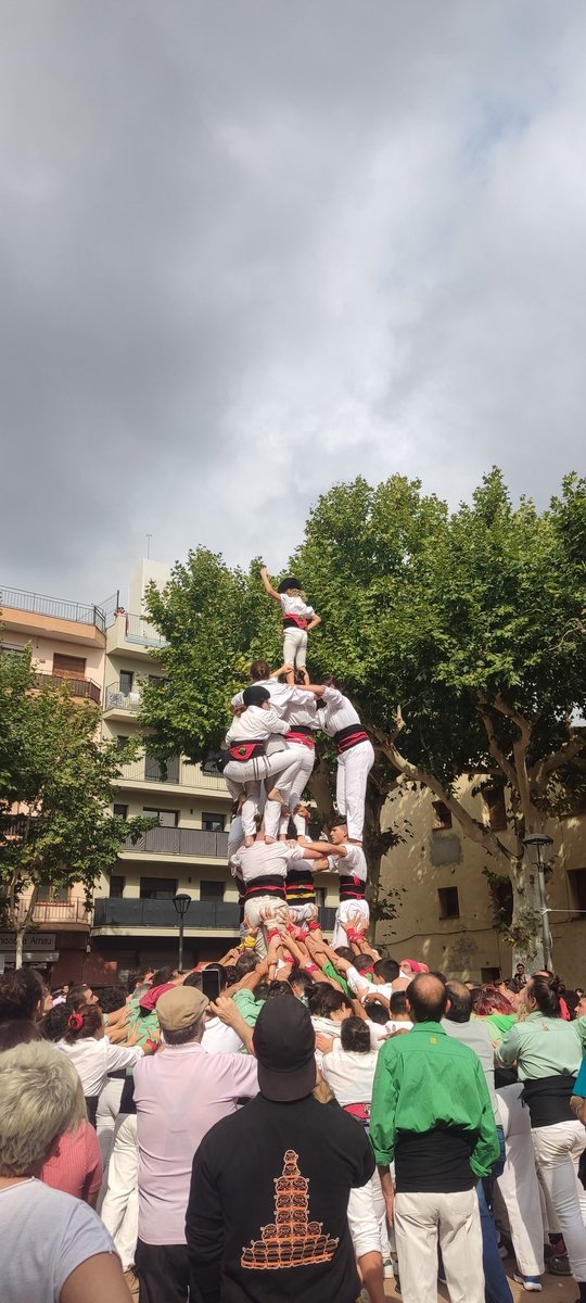Mirant al Cel tweet media