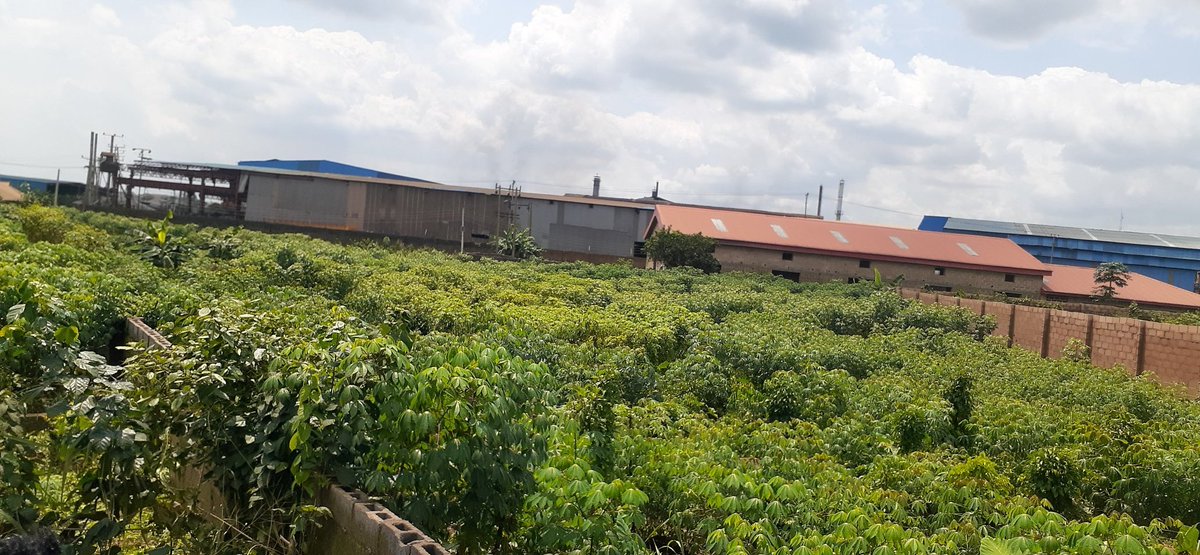 FOR SALE  OGIJO,INDUSTRIAL AREA IKORODU, LAGOS NIGERIA. 
ONE (1) ACRE OF INDUSTRIAL PLOTS FENCE WITH GATE.
PRICE: N40MILLION (NEGOTIABLE)
Raphael Omotola and Co. Estate Surveyors &amp; Valuers 
+234-8061691998, +234-8023898717.