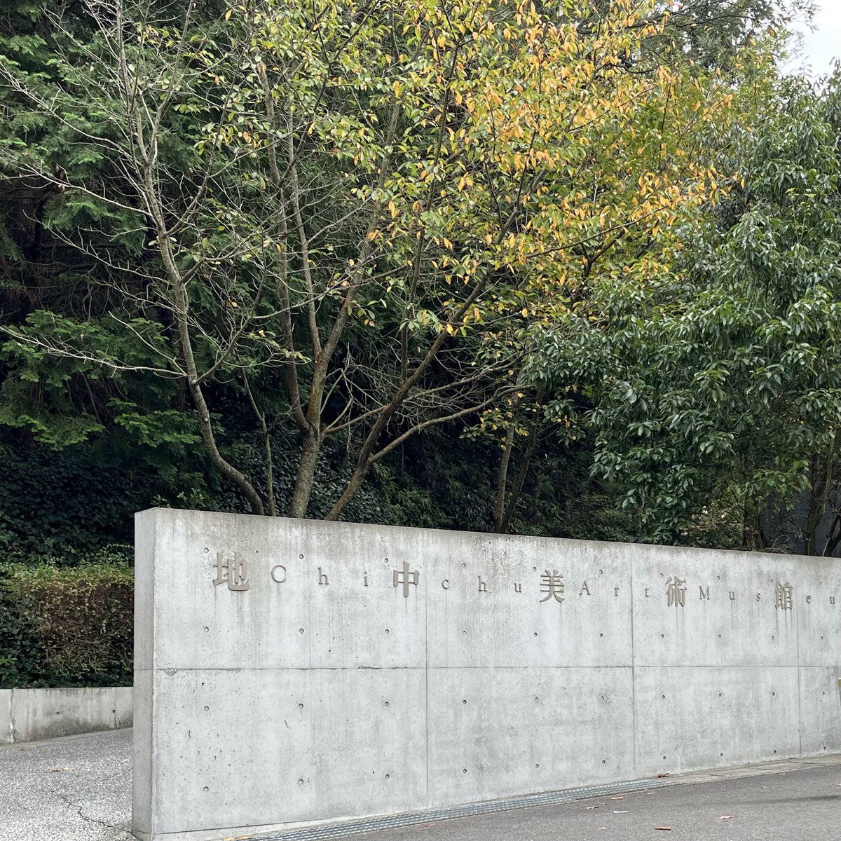 taketosora's tweet image. 直島旅②地中美術館

安藤さんの建築と作品が融合して空間全体がアート
空気が日本じゃないような不思議な感覚もして素晴らしかった
モネの作品好きなのでポストカード購入

#佐藤健カレンダー2023