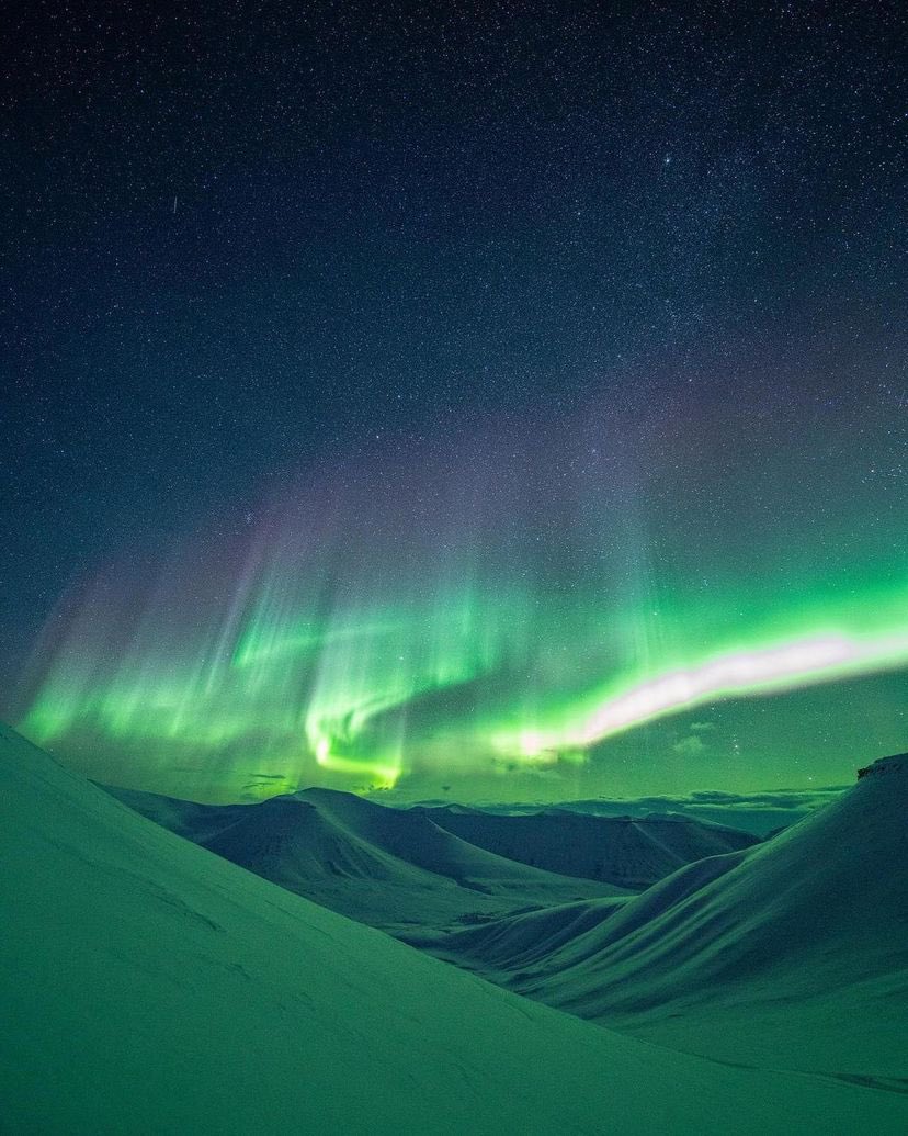 Life under the arctic sky 🌌