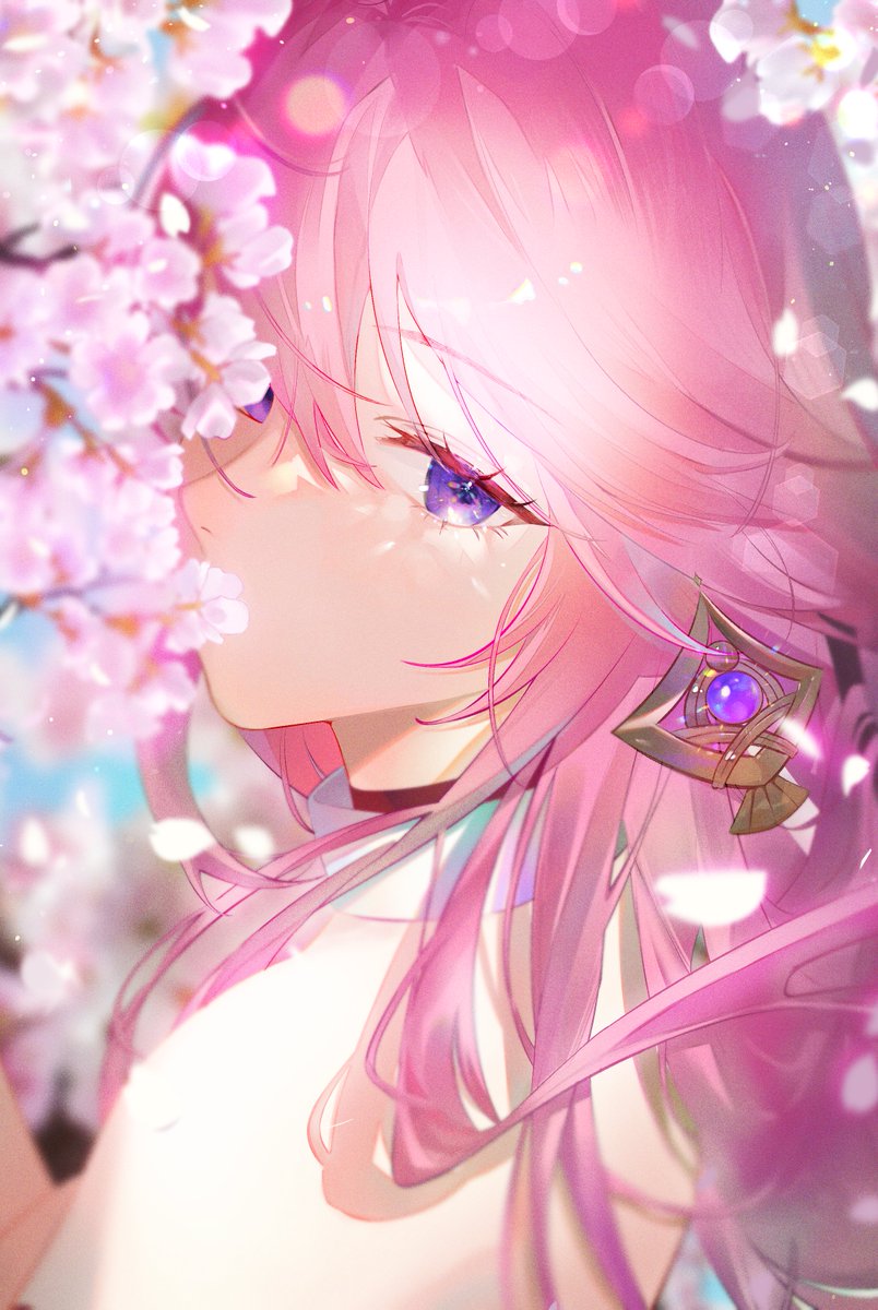 yae miko 1girl pink hair solo purple eyes looking at viewer long hair cherry blossoms  illustration images