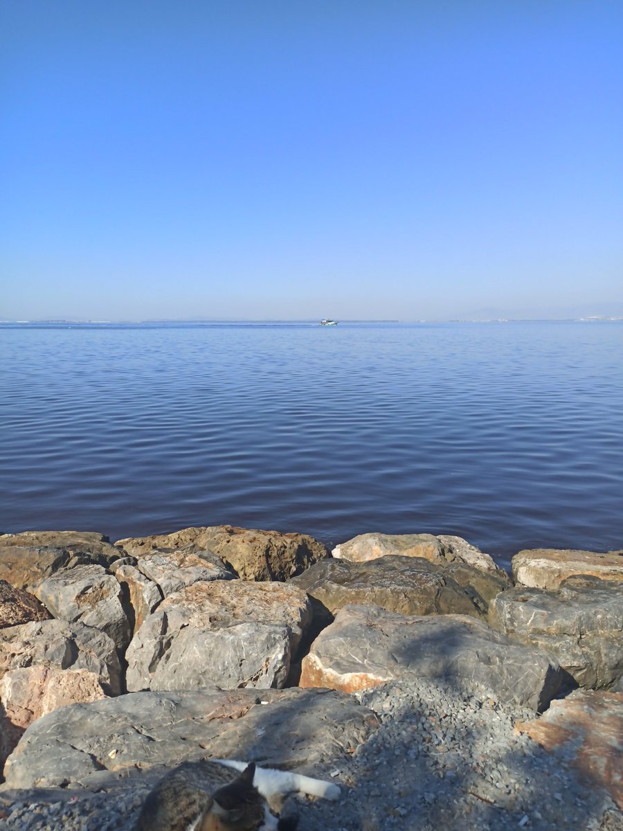 verbüyü evingülü tweet media