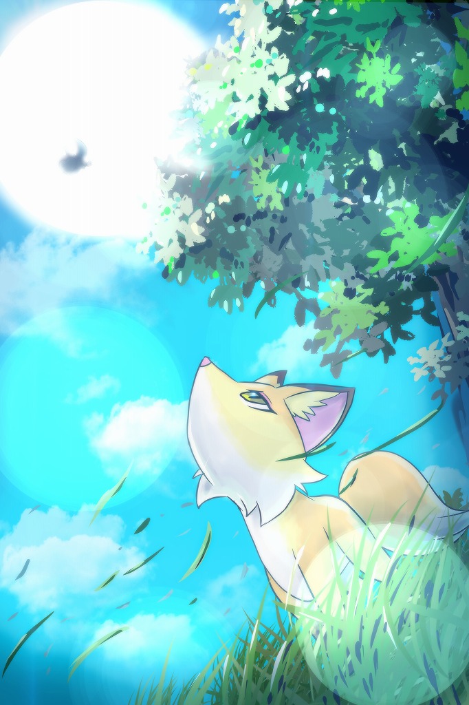 grass outdoors pokemon (creature) sky no humans day cloud  illustration images