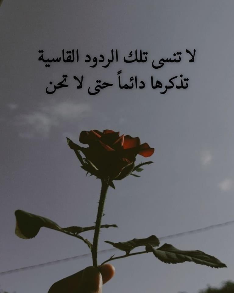 oilsil's tweet photo. لا تنسى تلك الردود القاسية
                  تذكرها دائماً حتى لا تحن

#مساء_الخير_والسعاد https://t.co/Ri7g3NBlT2