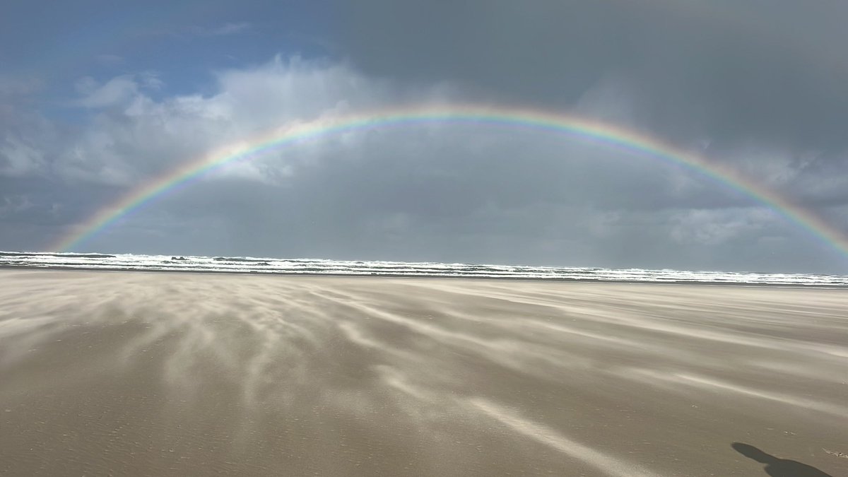 Tesschelling's tweet image. #terschelling