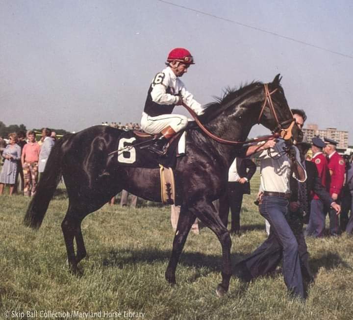 HORSERACING1002's tweet photo. J O TOBIN ๐บ๐ธ 1974
(NEVER BEND - HILL SHADE BY HILLARY)#JOTobin https://t.co/7ccx3naPQG