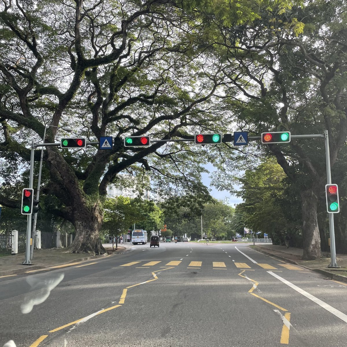 JNimalachandra's tweet image. What do I do now? Stop, Go or Take my chances? #trafficsignals #mixedsignals