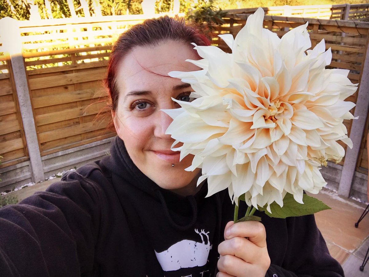 By far the thing that has grown best in my garden this year. Dahlias the size of my head! 🌸 🌱 #homegardener #flowerpower