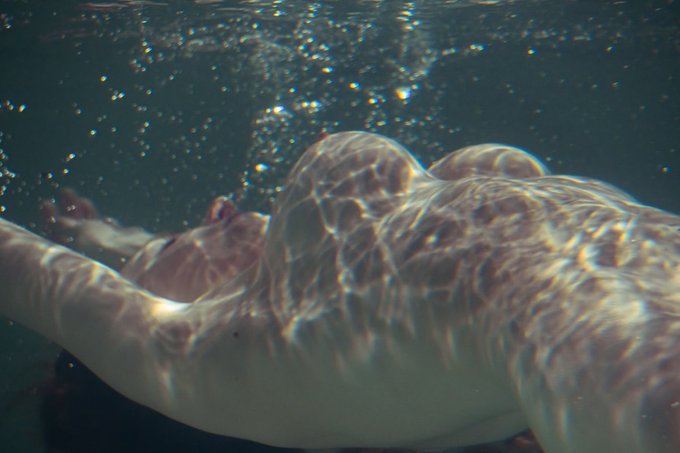 📸 by @demidovich_film   All @demidovich_film links in a tweet below ⤵️ https://t.co/G836vjhns3<a class="tags" target="_blank" title="On Twitter" href="/?out=eyJ0eXAiOiJKV1QiLCJhbGciOiJIUzUxMiJ9.eyJpYXQiOjE3MjAxNzc1MzEsImlzcyI6InR3cG9ybnN0YXJzLmNvbSIsIm5iZiI6MTcyMDE3NzUzMSwiZXhwIjoxNzUxNzEzNTMxLCJyZWRpcmVjdF91cmwiOiJodHRwczovL3R3aXR0ZXIuY29tL2RlbWlkb3ZpY2hfZmlsbSJ9.Hx_9CjXei0yzepBUEg7yQOph2qBEtzXcu6J36dyBZAYbzvASYl5Ef26HVD4nG4kZIWj8NS8SMbwe1tTXjGYRUw">@demidovich_film</a><a class="tags" target="_blank" title="On Twitter" href="/?out=eyJ0eXAiOiJKV1QiLCJhbGciOiJIUzUxMiJ9.eyJpYXQiOjE3MjAxNzc1MzEsImlzcyI6InR3cG9ybnN0YXJzLmNvbSIsIm5iZiI6MTcyMDE3NzUzMSwiZXhwIjoxNzUxNzEzNTMxLCJyZWRpcmVjdF91cmwiOiJodHRwczovL3R3aXR0ZXIuY29tL2RlbWlkb3ZpY2hfZmlsbSJ9.Hx_9CjXei0yzepBUEg7yQOph2qBEtzXcu6J36dyBZAYbzvASYl5Ef26HVD4nG4kZIWj8NS8SMbwe1tTXjGYRUw">@demidovich_film</a>