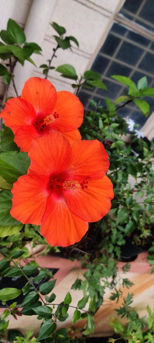 ISHWARA BHAT K (@ishwarabhatk) on Twitter photo 