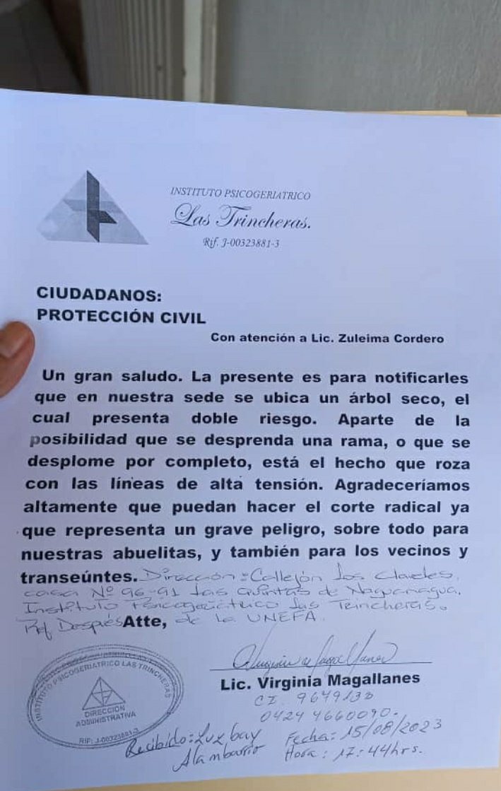 naravick's tweet photo. @gonzalez10ana_ Agradecemosn su apoyo Urgente Inst Psicogeriatrico Las Trincheras en Naguanagua, arbol seco arriesga la seguridad de abuelitas, esperamos su ayuda para q puedan salir al patio a sus actividades recreativas y tomar el sol https://t.co/RbJGbUCKVg