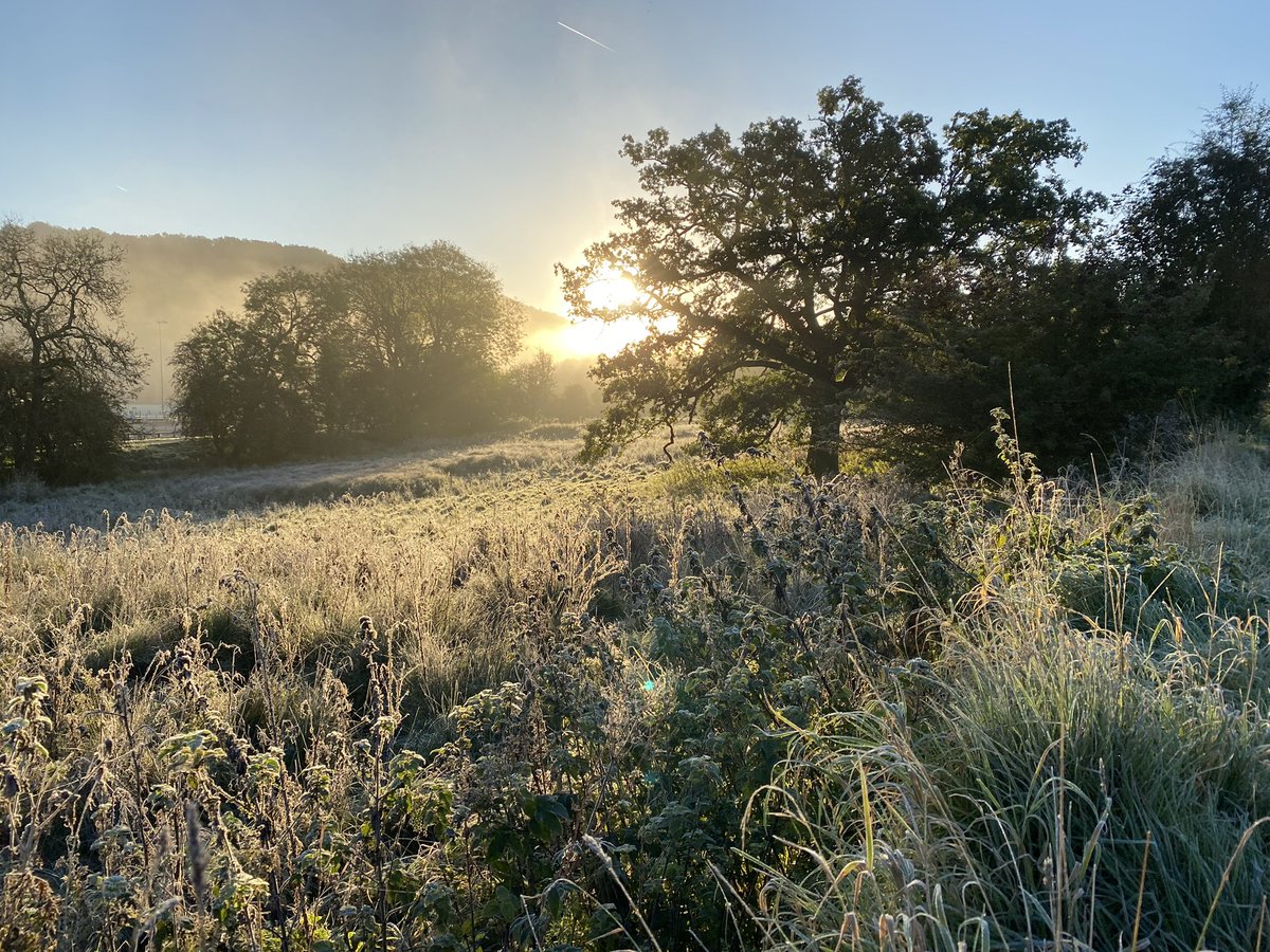 seaparkin's tweet photo. Frosty morning beautiful on Cromford canal. Needed more layers &amp; faster running 😆🥶 Buzzards making lots of noise. #cromford #derbyshire #derwentValley #canal #autumn #frost #trees #birds https://t.co/LC5UJJ8kYf