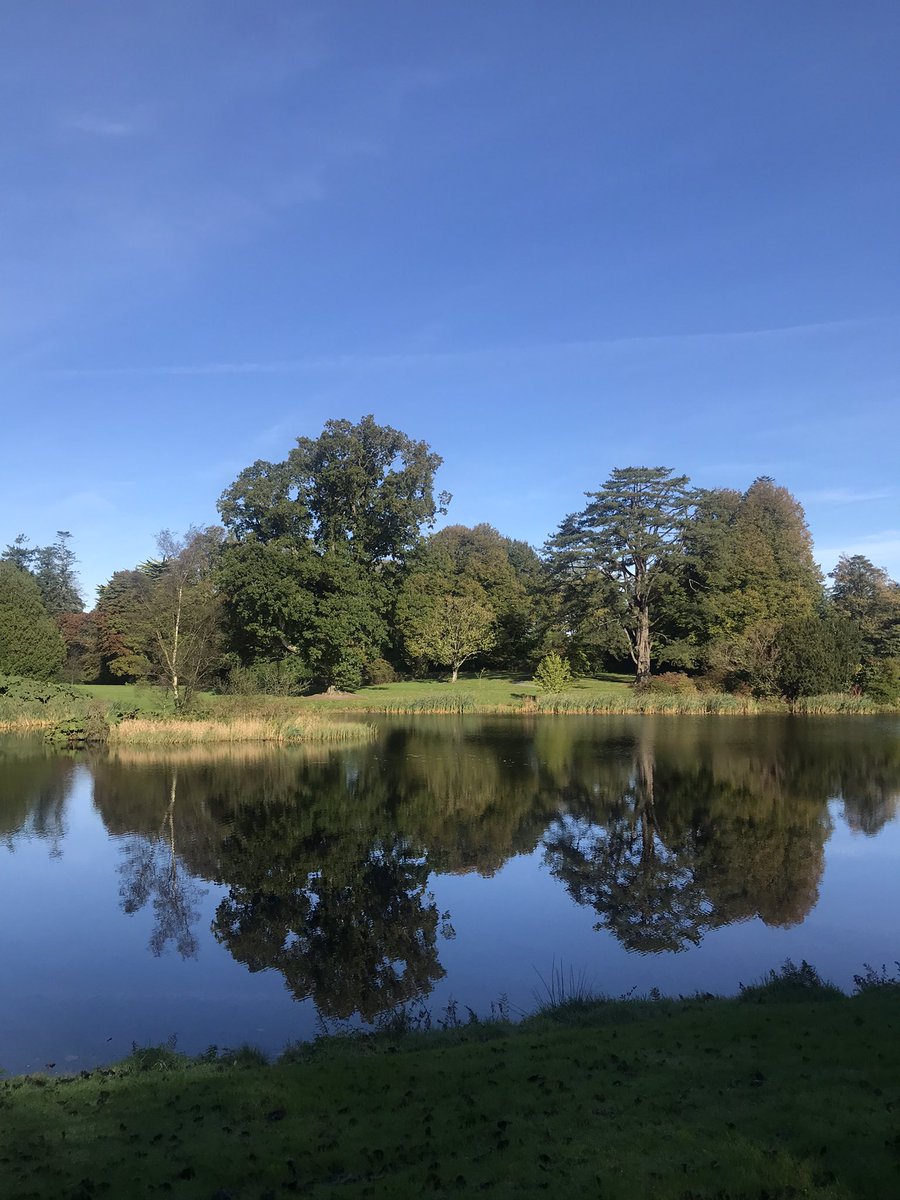 Peaceful moments <a href="/MontaltoEstate/">Montalto Estate</a> this morning 💕