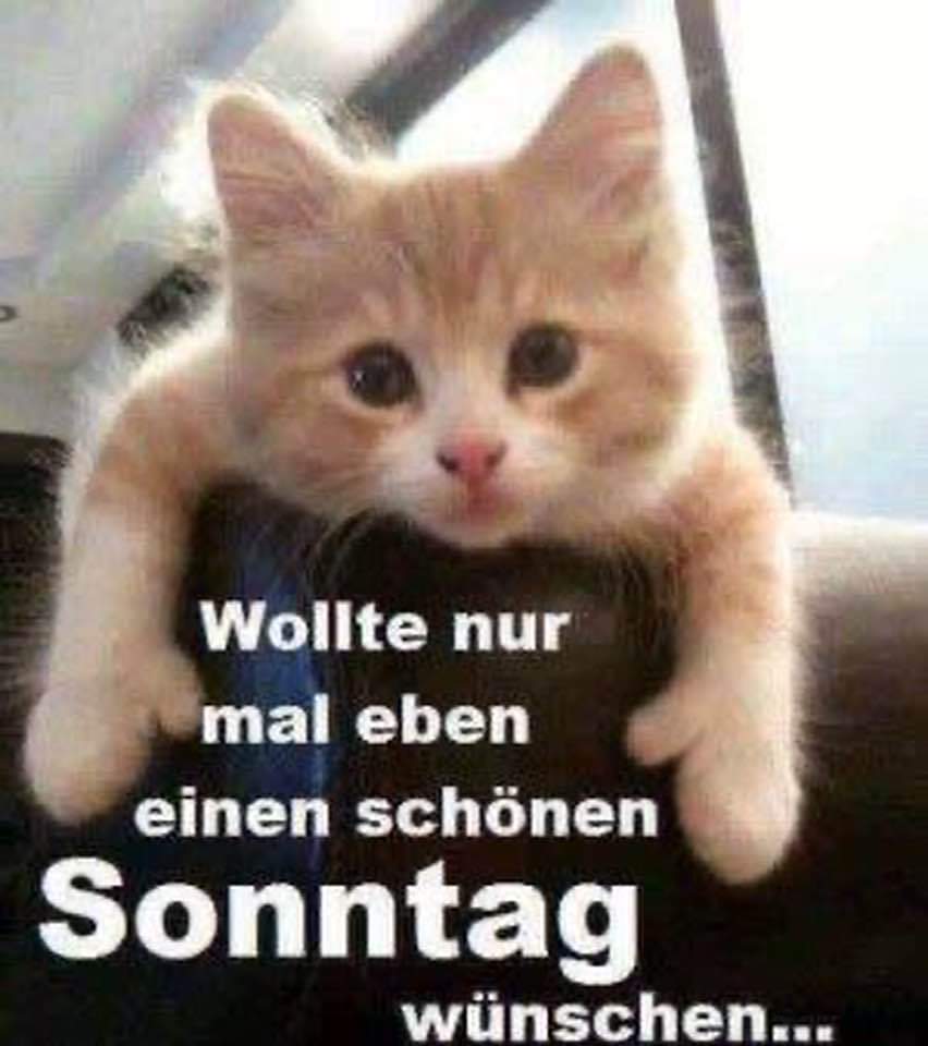 Chrirambo's tweet image. 