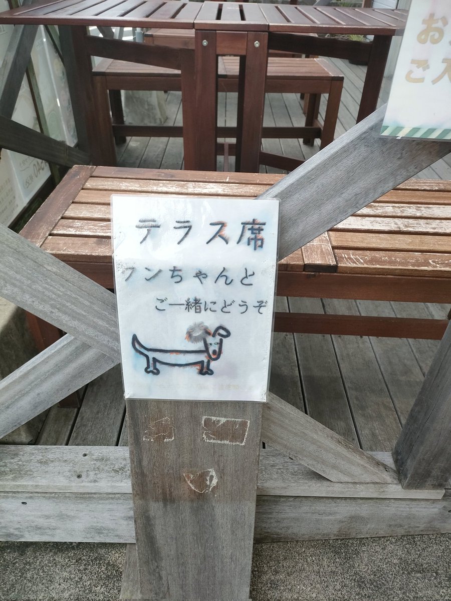 dig_dag_dog's tweet photo. 昨日、山に登ってる最中に甲斐犬っぽい子を連れた方とすれ違いました🐕
ふと、ワンちゃんも筋肉痛になるのかって調べたらやっぱなるみたいですね🥹
あと登山口最寄の飲食店のワンちゃんイラストがすんごいよかったです。
#SDWC #StreetDogsWatchingCollective https://t.co/93dkGxXfl1