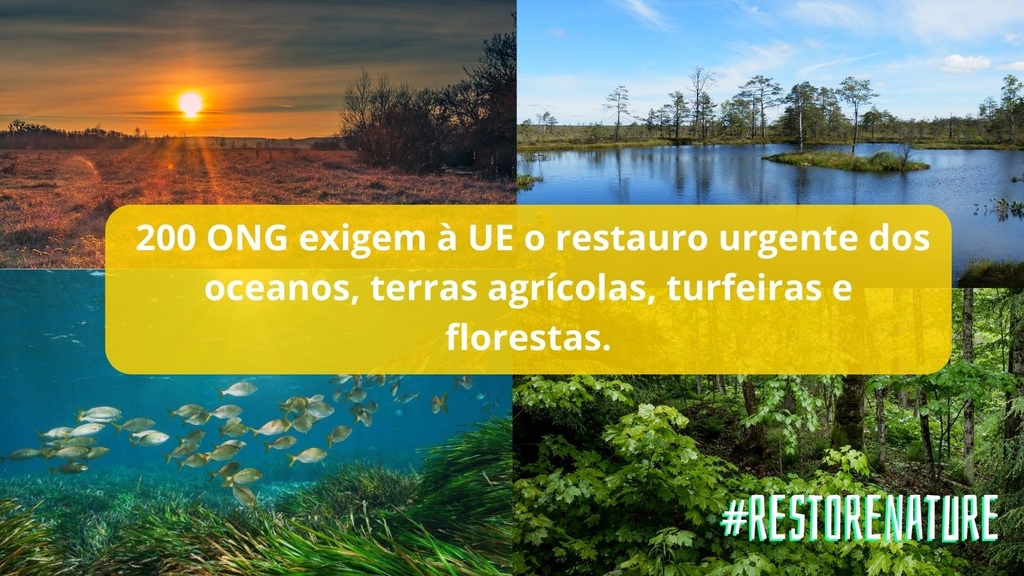 spea_birdlife's tweet photo. As turfeiras, as florestas, as zonas marinhas e as terras agrícolas são efetivamente essenciais para o Restauro da Natureza. 🌎
👉 https://t.co/wCSuvuRyU9
#RestoreNature
#ForNature #EUbiodiversity #BringNatureBack https://t.co/6iZ0JMSQuV