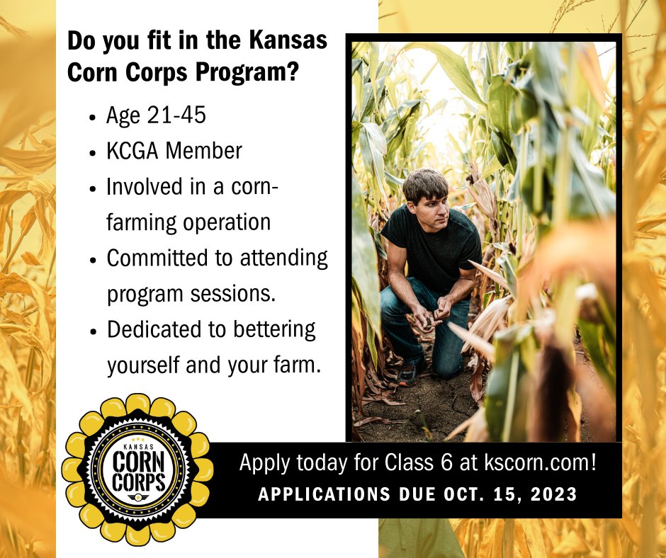 Kansas Corn tweet media