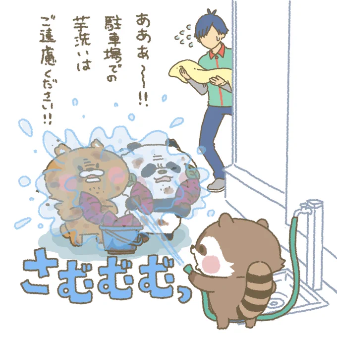 沢山とれましたか?? #もちもち #お客様こまります #おきゃこま #コンビニ #アルバイト #漫画 #イラスト #動物 #芋ほり #アライグマ