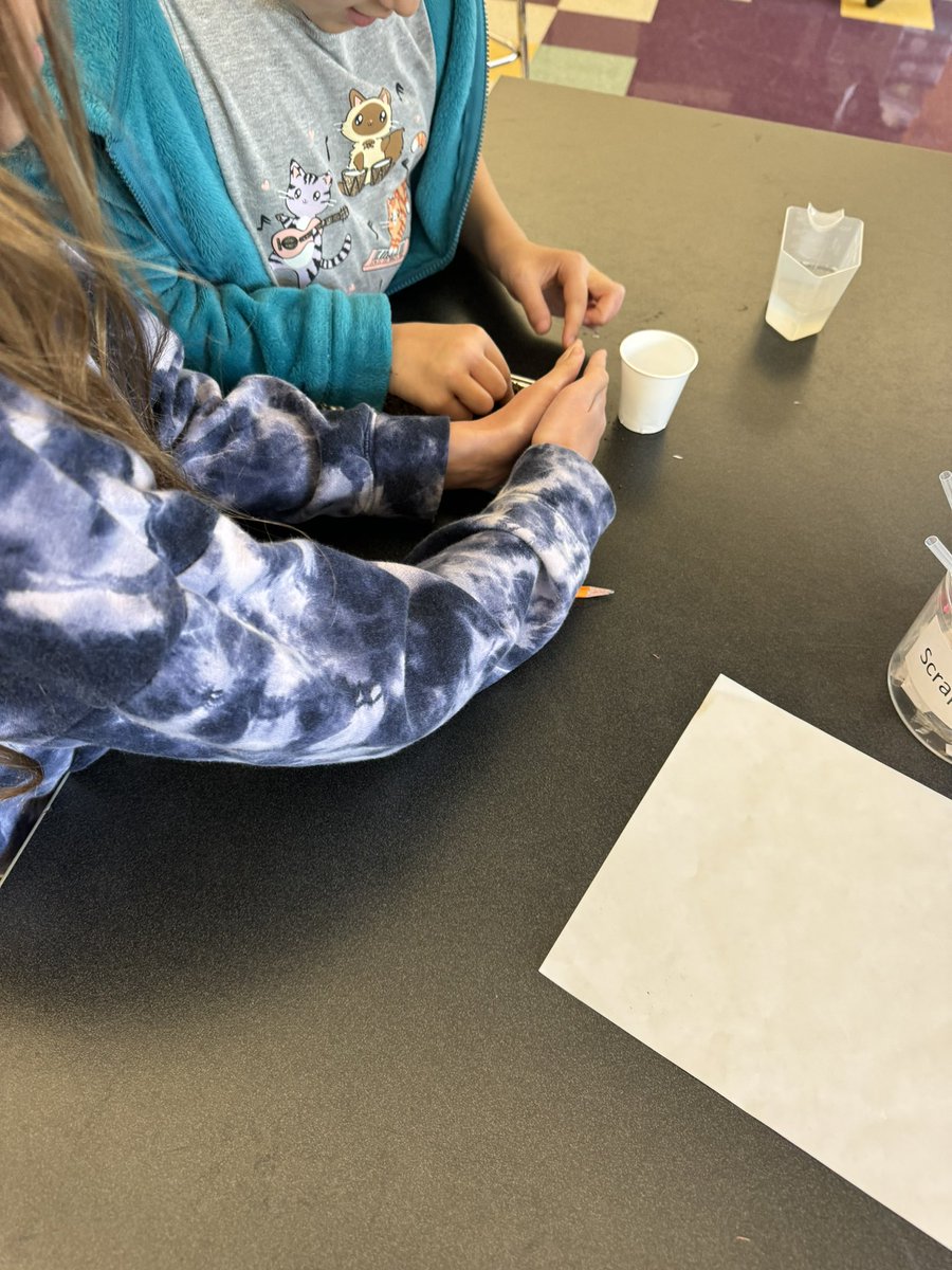 Jennifer Perrotti tweet media