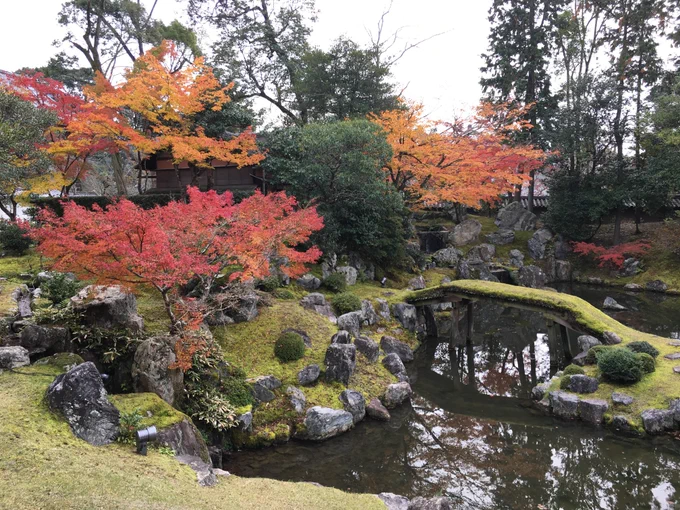 秋の醍醐寺、すてきでしたよ。カバンに豊国神社さんのお守りついてるから、なんかこう…「太閤さん、秋に観たかった景色、これですか?」って、通信機的な感じで(笑)、届いたらいいなーとか思って歩いてきた。実はまだ、春の醍醐寺に行ったことがないので、そのうち絶対に行きたい。 