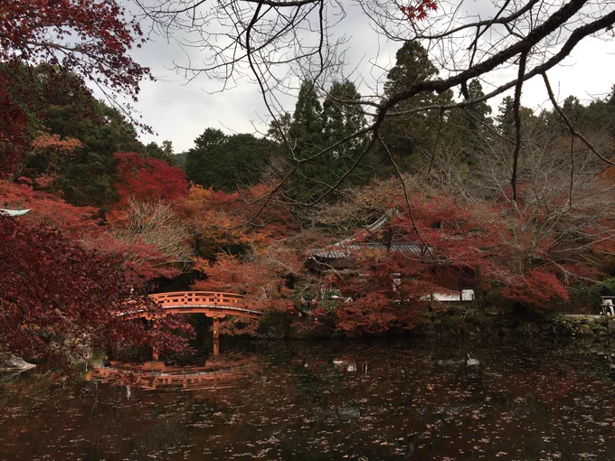 秋の醍醐寺、すてきでしたよ。カバンに豊国神社さんのお守りついてるから、なんかこう…「太閤さん、秋に観たかった景色、これですか?」って、通信機的な感じで(笑)、届いたらいいなーとか思って歩いてきた。実はまだ、春の醍醐寺に行ったことがないので、そのうち絶対に行きたい。 