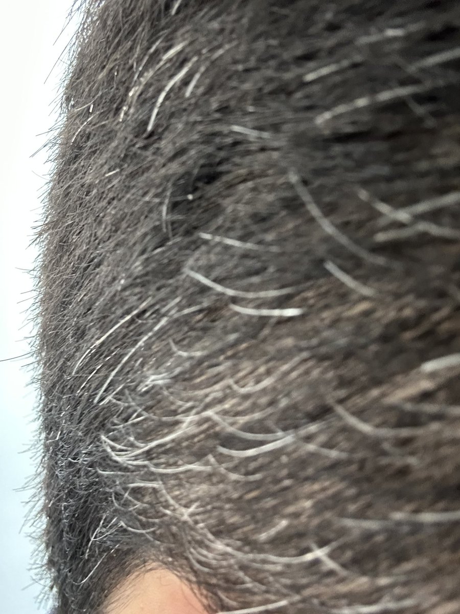 Ali Salehi tweet media