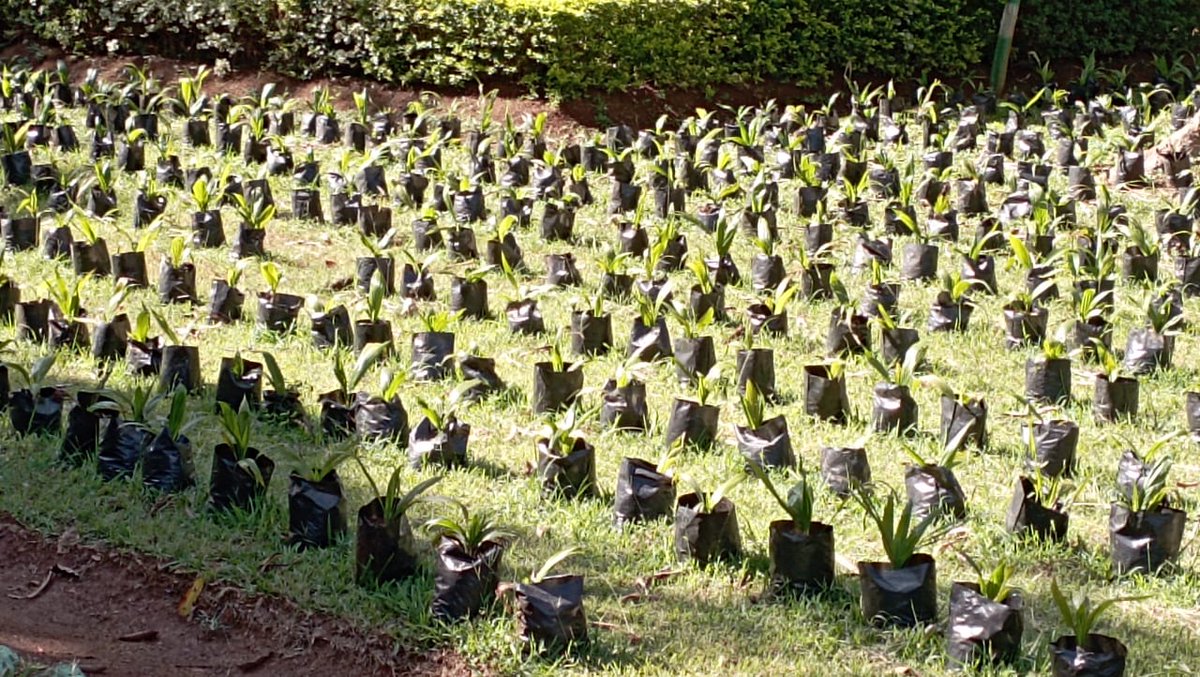 Kings Agricultural Services tweet media