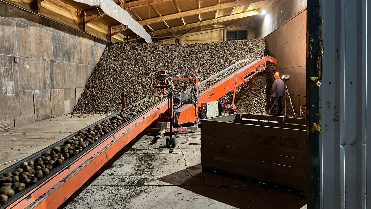 Jon Rooke tweet media