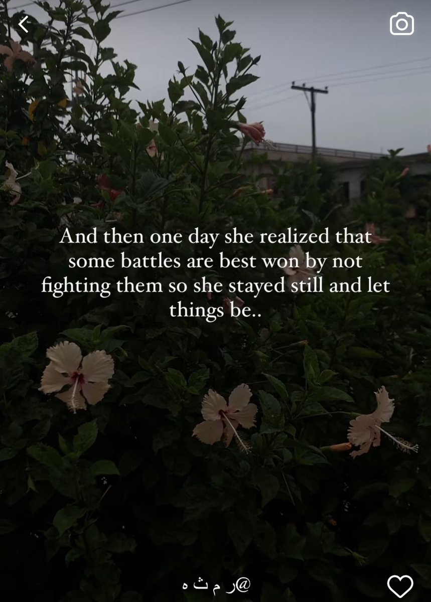 dragonflywithme (@dragonflywithm1) on Twitter photo 