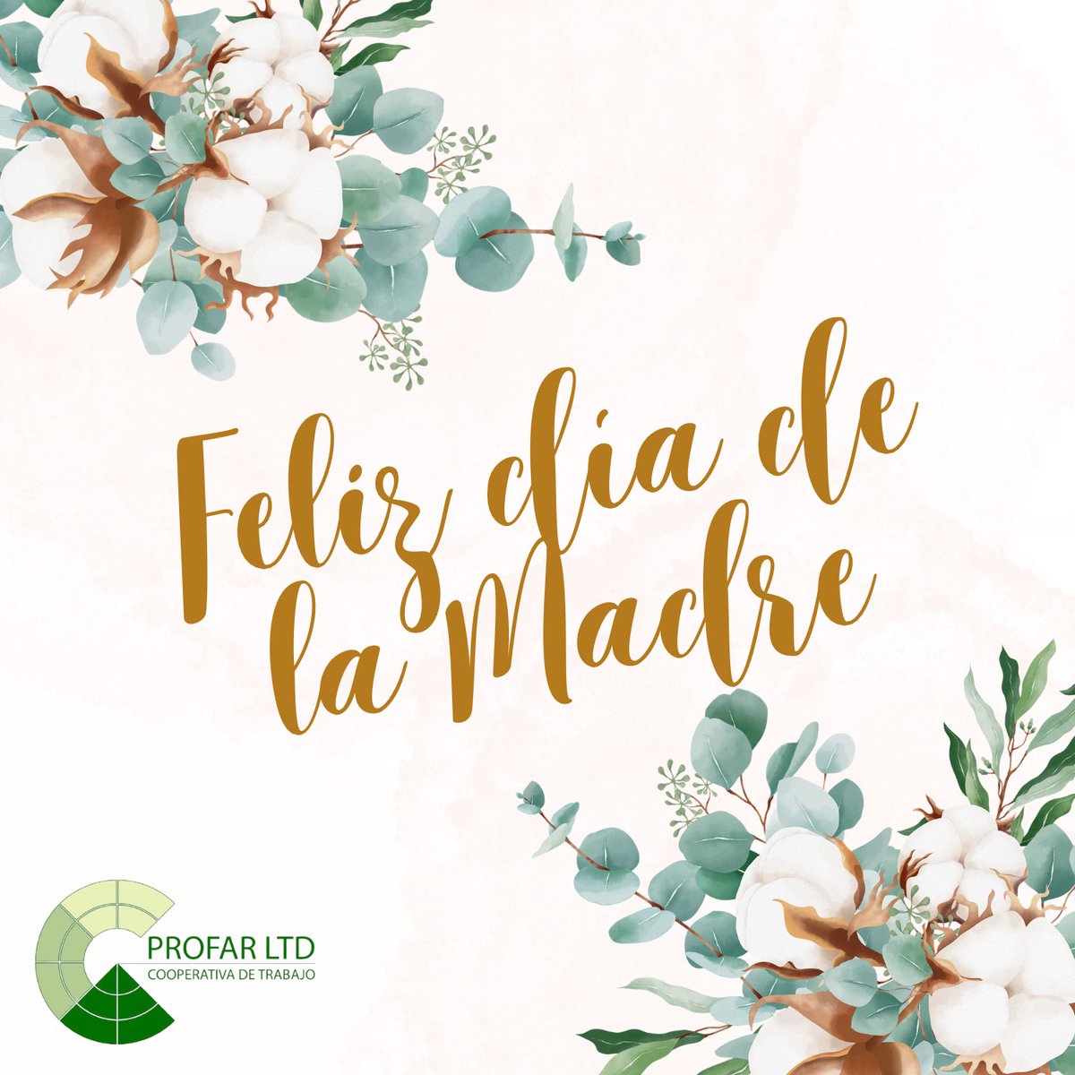 LtdaProfar's tweet photo. 𝖿ᥱᥣ᰻ᤁ ძ᰻́ᥲ! #🩷❤️🧡💛💚🩵💙💜🖤🩶🤍🤎 #👩‍👧‍👦💞 #mᥲძrᥱ #ძ᰻ᥲძᥱᥣᥲmᥲძrᥱ #𝖿ᥱᥣ᰻ᤁძ᰻ᥲ #ᥲrgᥱᥒ𝗍᰻ᥒᥲ https://t.co/stpCspZz9U