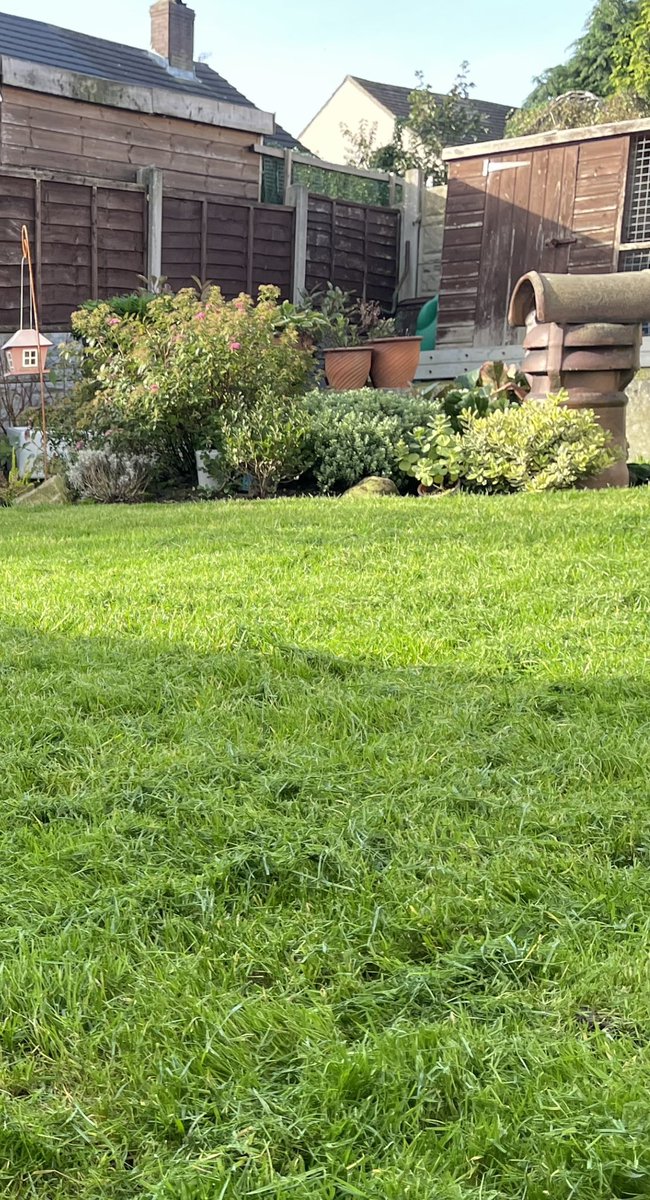 Adele Bealey tweet media