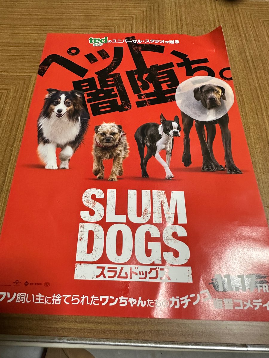 kurimomorui110's tweet photo. なんだかすごい映画が始まるらしい🐕🦮🐕‍🦺🐩🐶

#slumdogs #universalpictures https://t.co/hzcxJJKjDm