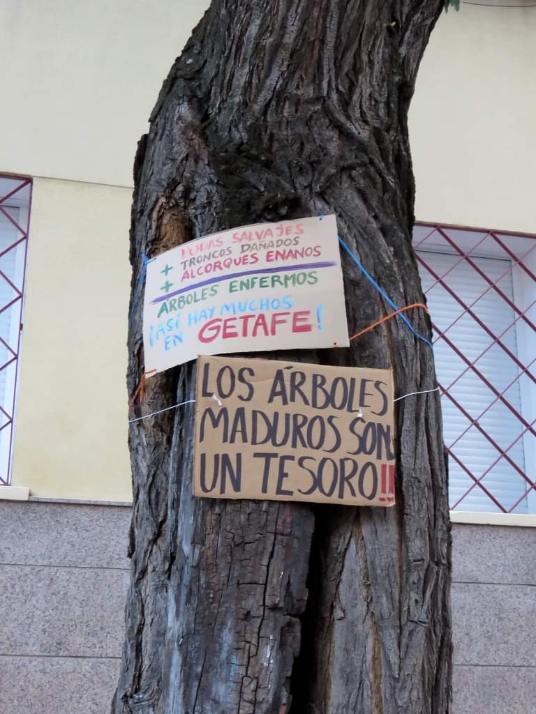HectorMaeso's tweet photo. Hoy en Getafe lxs vecinxs visibilizan el grave problema del arbolado en el pueblo @acasmer @aytogetafe https://t.co/t8KF7I0yXf