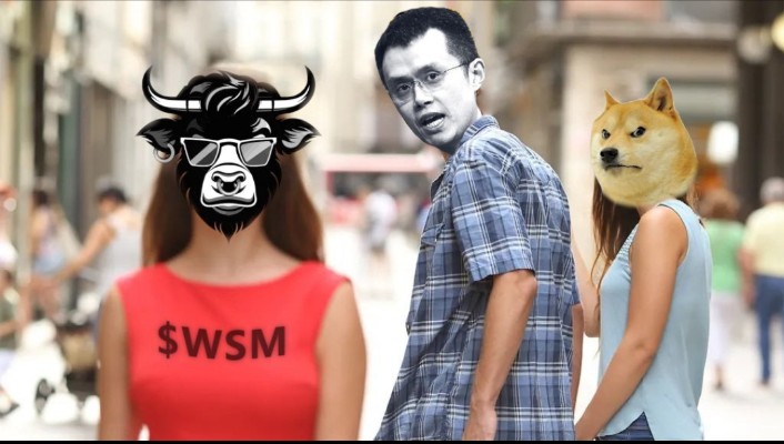 STEGEN_25's tweet photo. @wallstmemes @binance @wallstmemes @elonmusk  #wsm https://t.co/KJhngE7N47