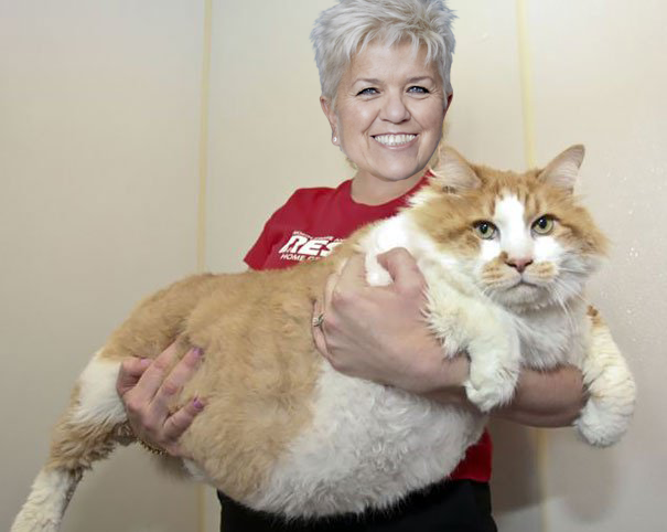 D'après vous, c'est qui ? #montajeudmo