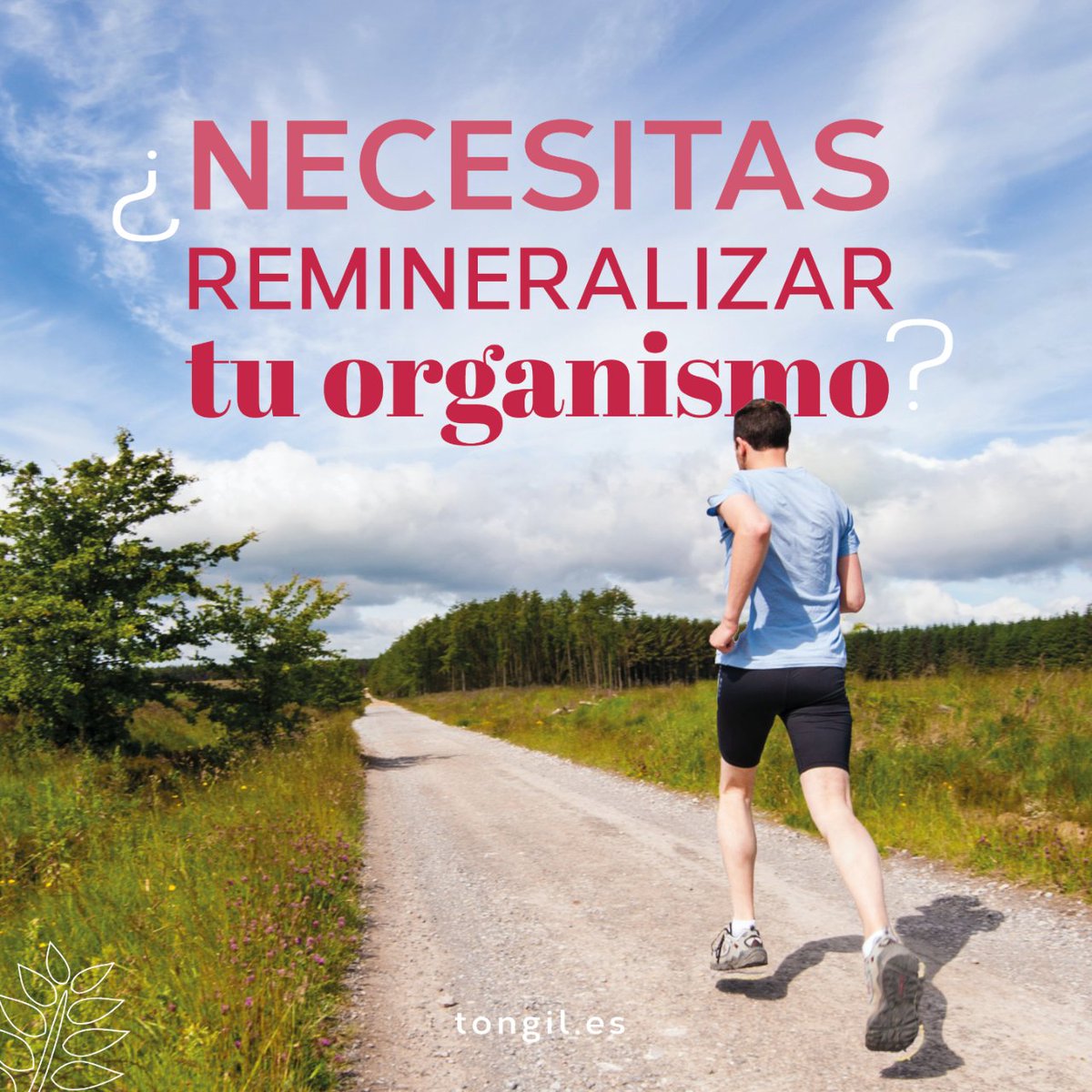 LAB_TONGIL's tweet photo. ¿Necesitas remineralizar tu organismo?

La Cola de caballo favorece la remineralización del organismo.
El Abedul contribuye a los procesos de detoxificación del organismo.

#tongiltecuida #complementosnaturales #coladecaballo https://t.co/GDG9tuPT6w