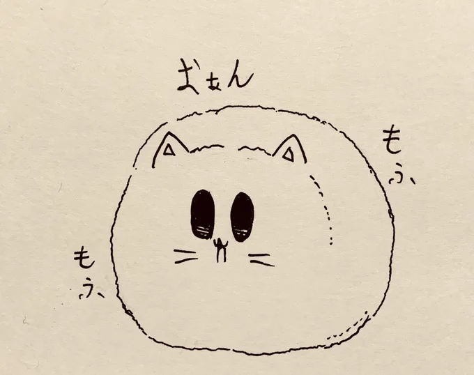 もち猫さん冬毛玉