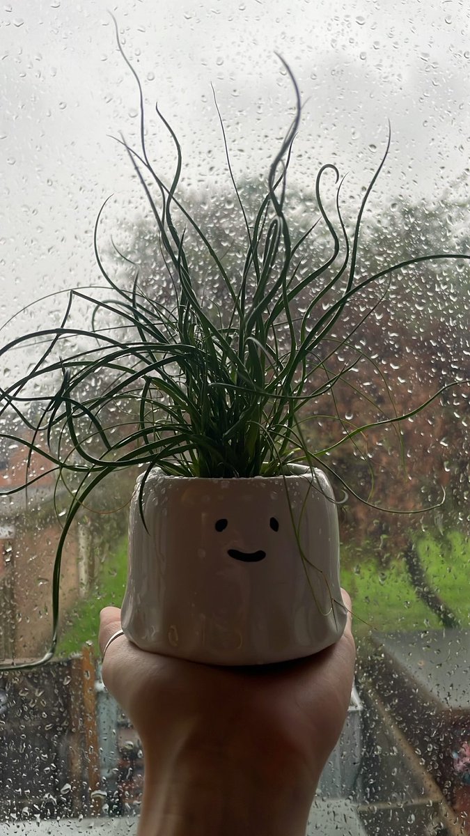 I found the cutest plant