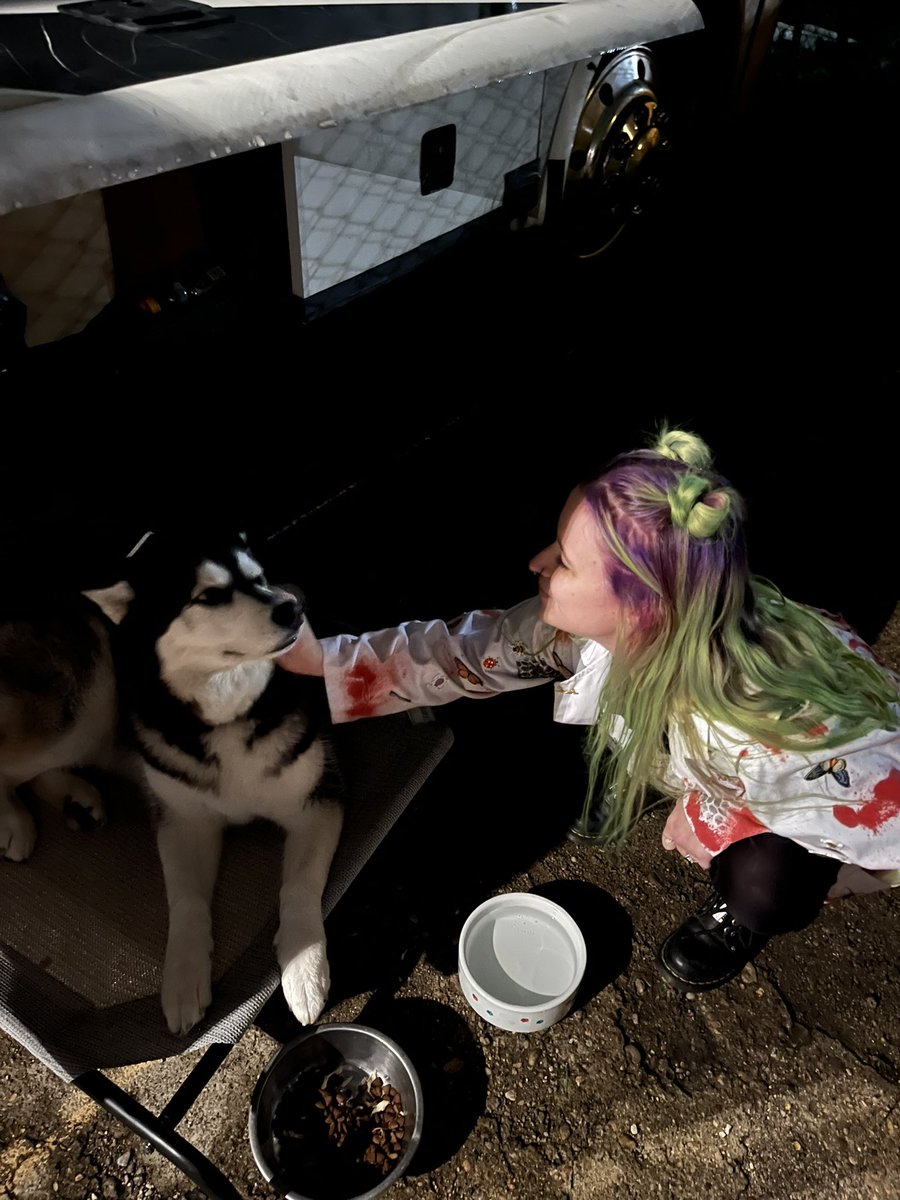 elizabitch🔮 tweet media