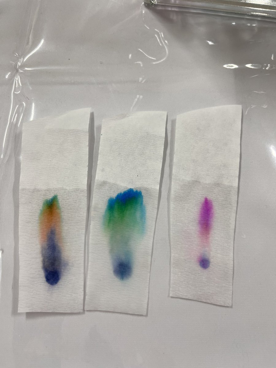 SchulerMarie1's tweet image. Fête de la Science au muséum d’Orleans #MOBE Les étudiants et permanents de l’ICOA se sont succédés pour présenter au public les activités du laboratoire sous forme de jeux chimiques pour petits et grands @ICOA_UMR7311 @Univ_Orleans