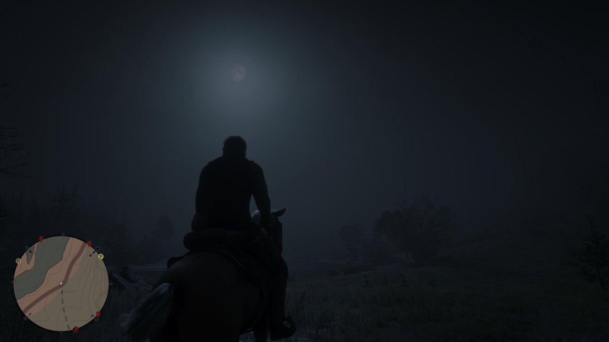 Pharol's tweet photo. Diário RDR2: Saindo do acampamento antes do galo cantar pra resolver coisas com Micah. No caminho salvando um pobre miseravel de uma onça e contemplando a vista de uma águia real. No último registro um sinal de que o dia não terminou bem pros O'Driscoll (Maldito Micah) https://t.co/S8yfaPI9ET