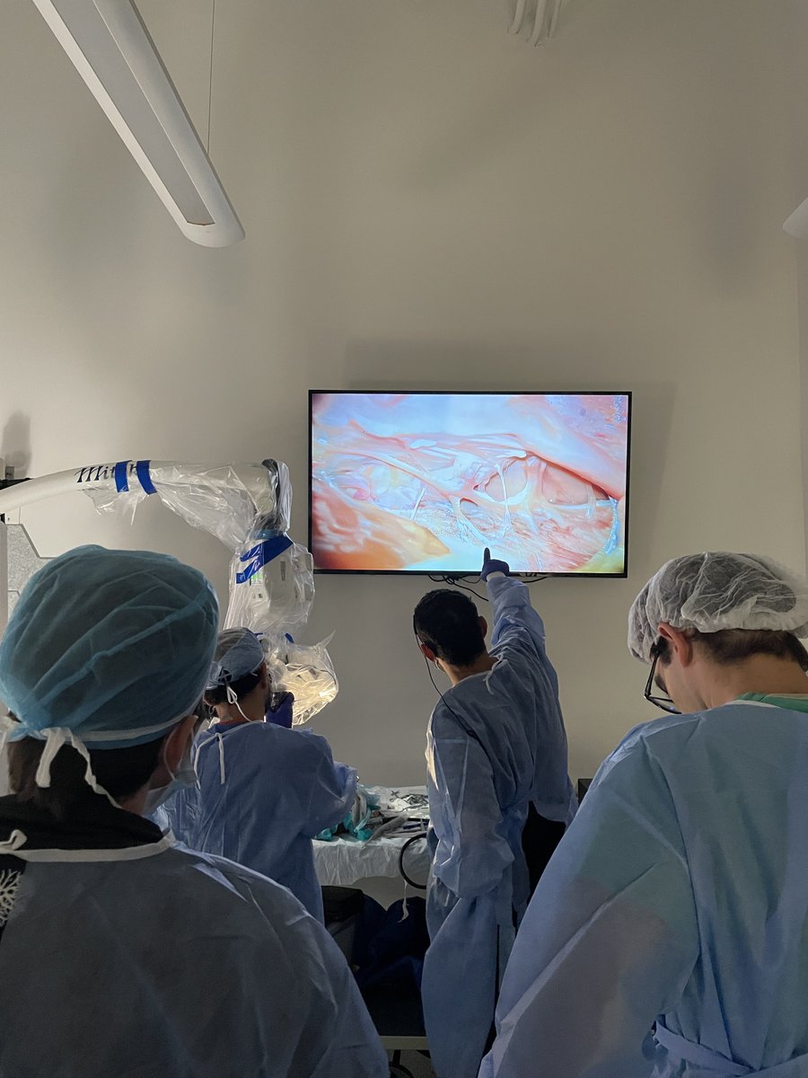 AdarshaMalla's tweet image. An incredibly fun weekend of learning about open skull base approaches! Thank you @MohamedALabibMD @NagmAlhusain @UMDNsgyChair and all the faculty and residents from @UMDNeurosurgery @HopkinsNsurg @MGUHNeurosurg for an interactive and hands-on learning experience!