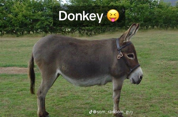 Scars SMP tweet media