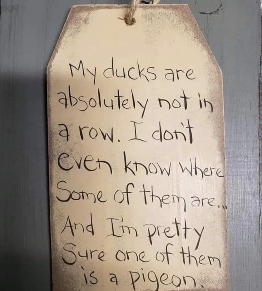 The eternal illusion. Everyone else has it sorted, is organised, copes with it all, is in control. I’m yet to see anyone, including the person I see in the mirror, have all their ducks in a row. I LOVE THAT. The imperfect, beautiful humans we are. Through good &amp; bad #nojudgement
